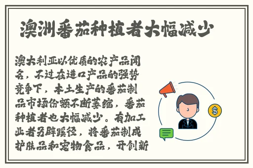 人**人人澡人人爽精品欧美