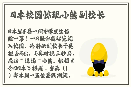 好男人视频在线观看免费